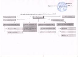 Информация об органах управления в МКОУ Лобинской СОШ